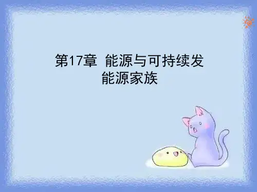 人教版物理九年《能源和可持续发展》(能源家族)