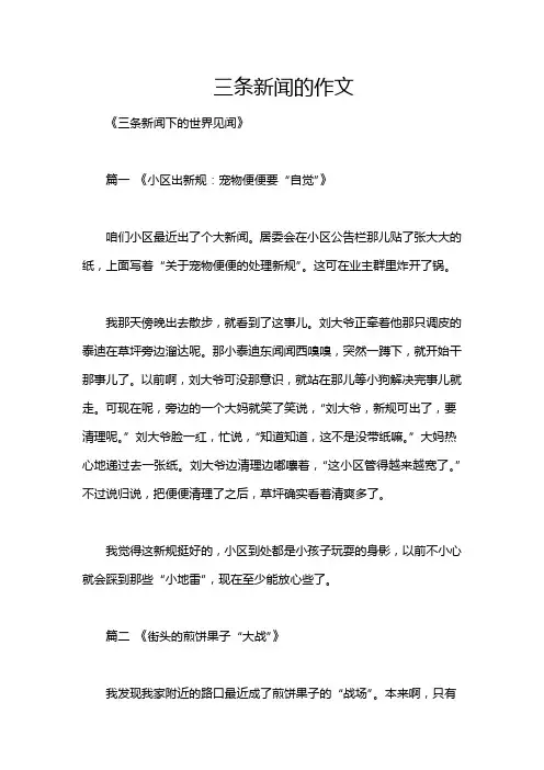 三条新闻的作文