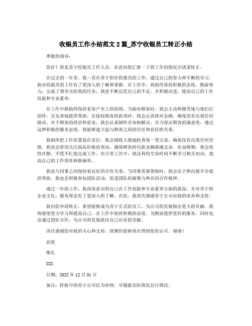 收银员工作小结范文2篇_苏宁收银员工转正小结
