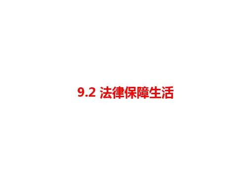 人教版《道德与法治》七年级下册 9.2 法律保障生活 课件(共19张PPT)