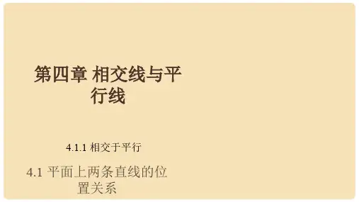 七年级数学下册 4.1.1 相交与平行同步课件 (新版)湘教
