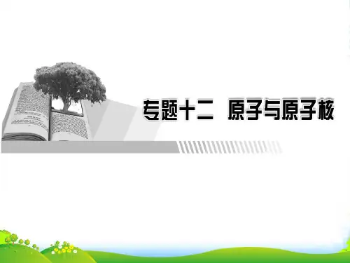 高三物理高考总复习课件：专题12 第1讲波粒二象性