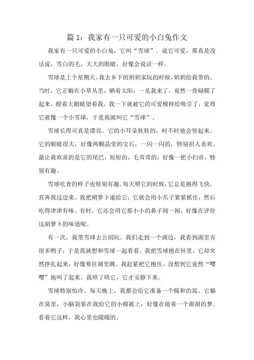 我家有一只可爱的小白兔作文精选8篇