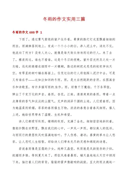 冬雨的作文实用三篇