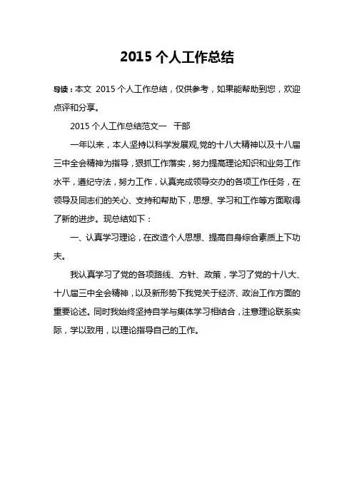 2015个人工作总结