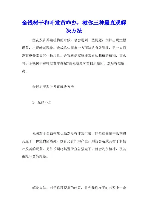 金钱树干和叶发黄咋办,教你三种最直观解决方法