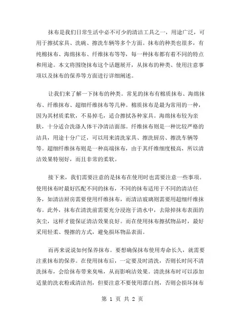抹布作文范文