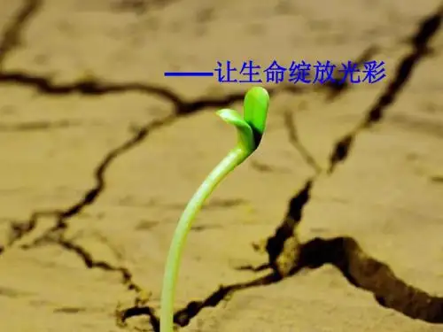 四年级下册语文课件 习作五 《热爱生命》 人教新课标 (共21张ppt)