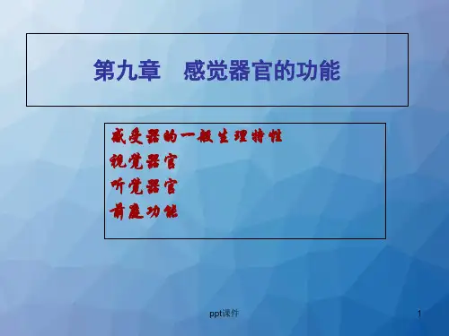 第九章 感觉器官的功能  ppt课件