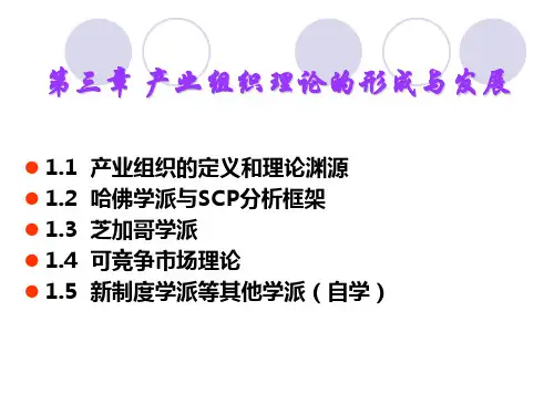 第3章 产业组织：SCP分析框架