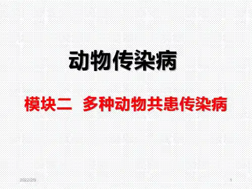 多种动物共患病(葡萄球菌病)