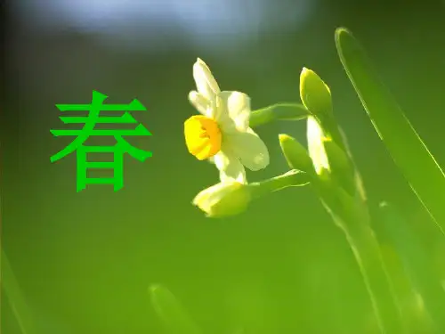人教版七年级语文上册精品课件_第一课《》精品课件(共30张)