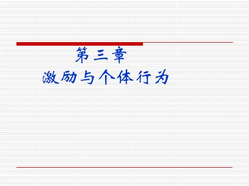 激励与个体行为精品文档46页