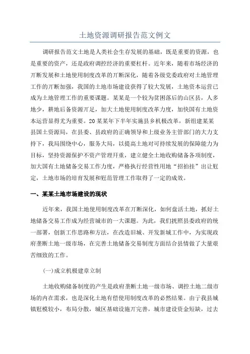 土地资源调研报告范文例文