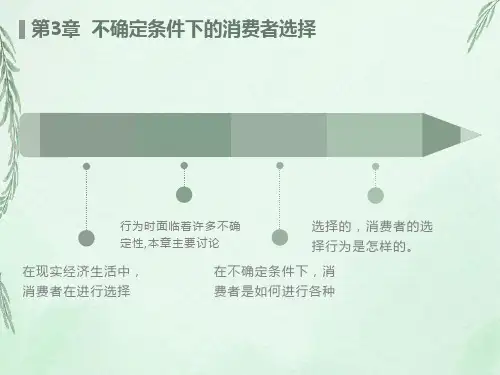 不确定条件下的消费者选择