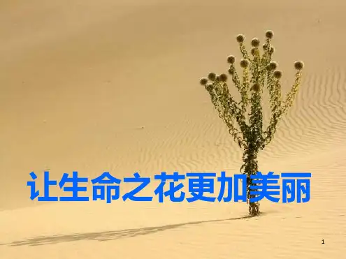不同年龄阶段孩子的心理特点与教育方法ppt课件