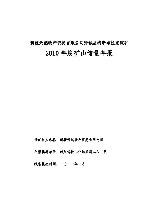 煤矿储量年报