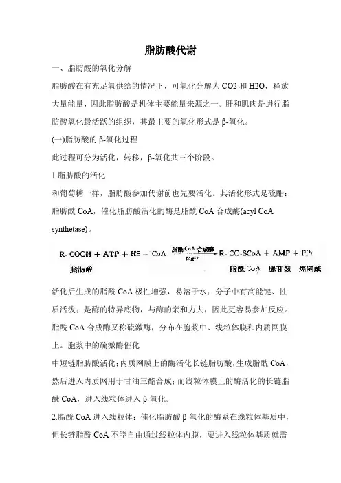 脂肪酸代谢