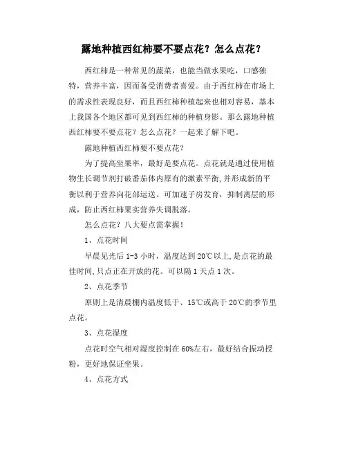 露地种植西红柿要不要点花？怎么点花？