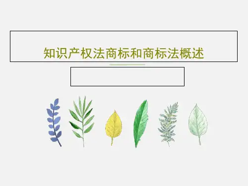 知识产权法商标和商标法概述共74页
