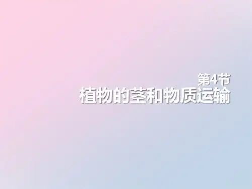 2021年《植物的茎与物质运输》PPT文档