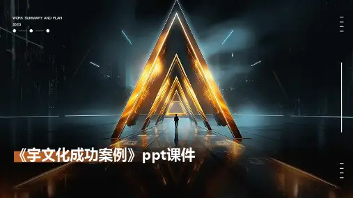 《宇文化成功案例》课件