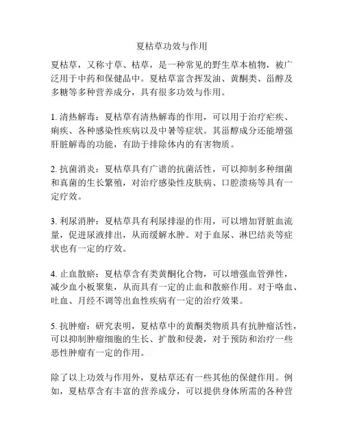 夏枯草功效与作用