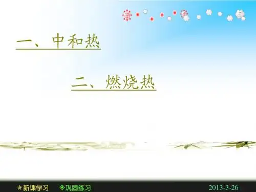 第二节 燃烧热能源