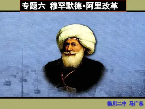 上课用阿里改革课件