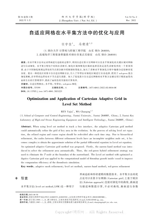 自适应网格在水平集方法中的优化与应用