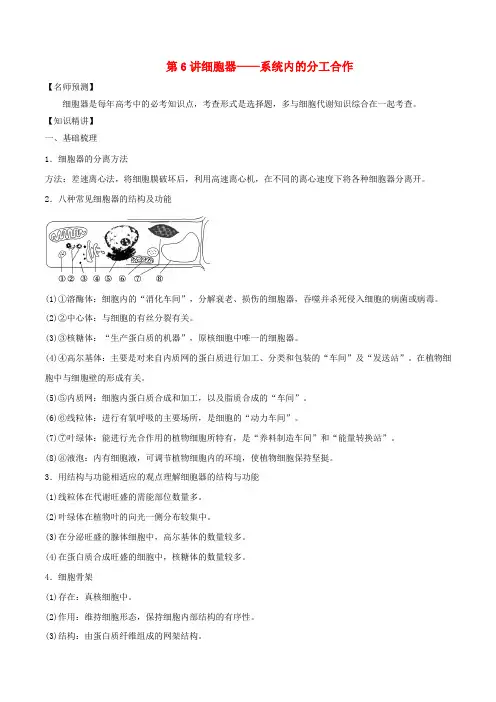 山东省2020年高考生物一轮复习 考点扫描 专题06 细胞器---系统内的分工合作(含解析)