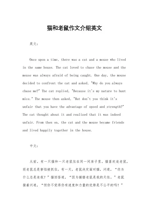 猫和老鼠作文介绍英文