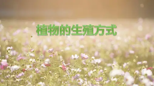 《植物的生殖方式》PPT教学课件