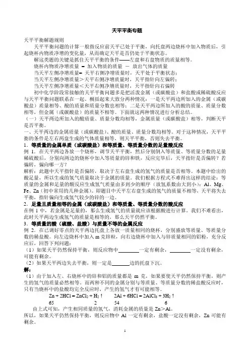 天平平衡专题定稿