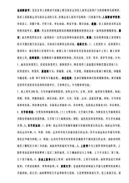 运动解剖学