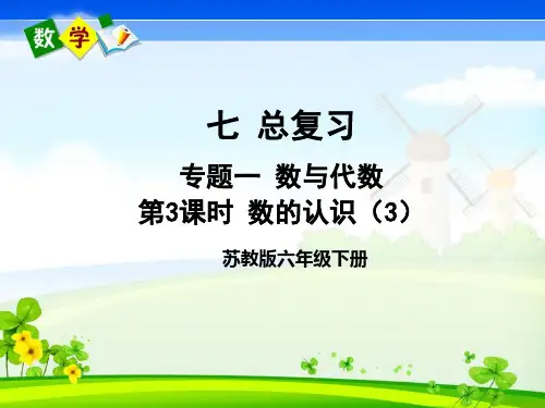 苏教版数学六年级下册《七 总复习 1.数与代数 第3课时 数的认识(3)》教学课件