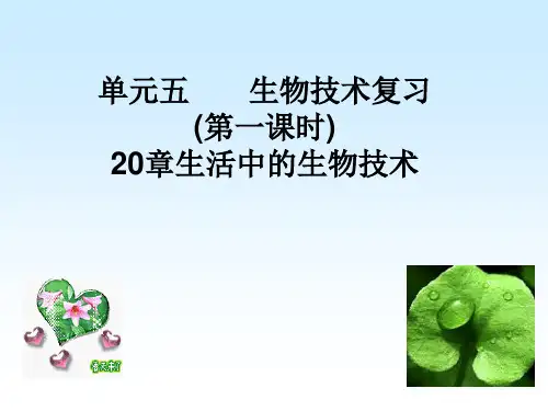 苏教版八下21章《现代生物技术》复习课件