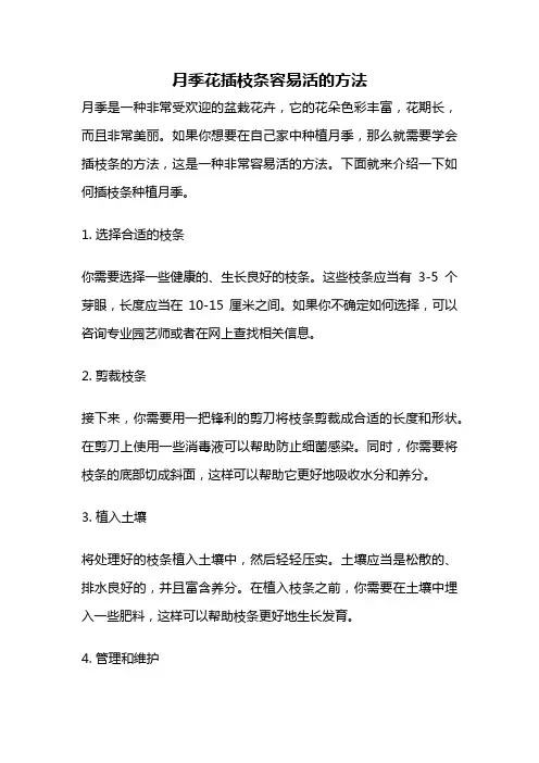 月季花插枝条容易活的方法