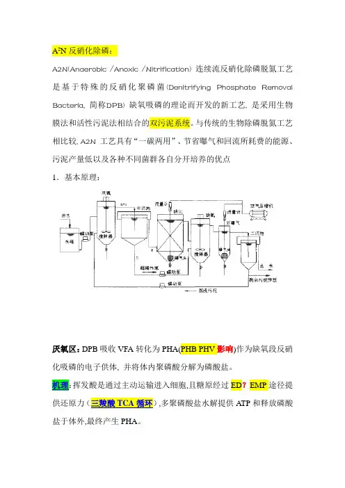 反硝化小结