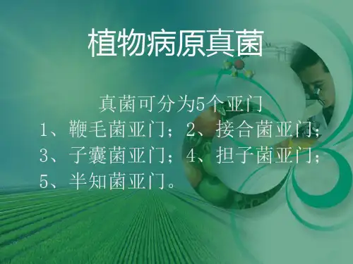 植物病理学分类概况