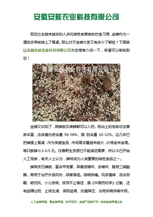 山东金蝉养殖基地哪家强