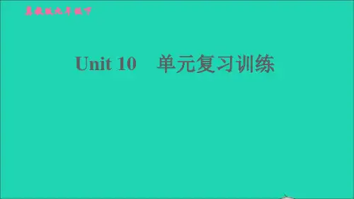 九年级英语下册Unit10GetReadyfortheFuture单元复习训练习题课件