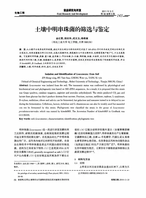 土壤中明串珠菌的筛选与鉴定