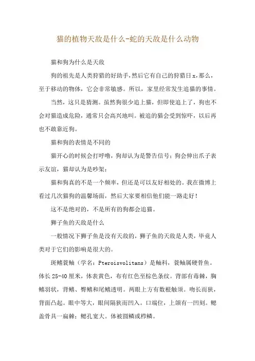 猫的植物天敌是什么-蛇的天敌是什么动物