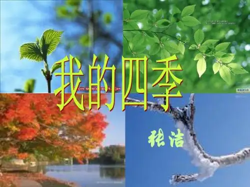 《我的四季》