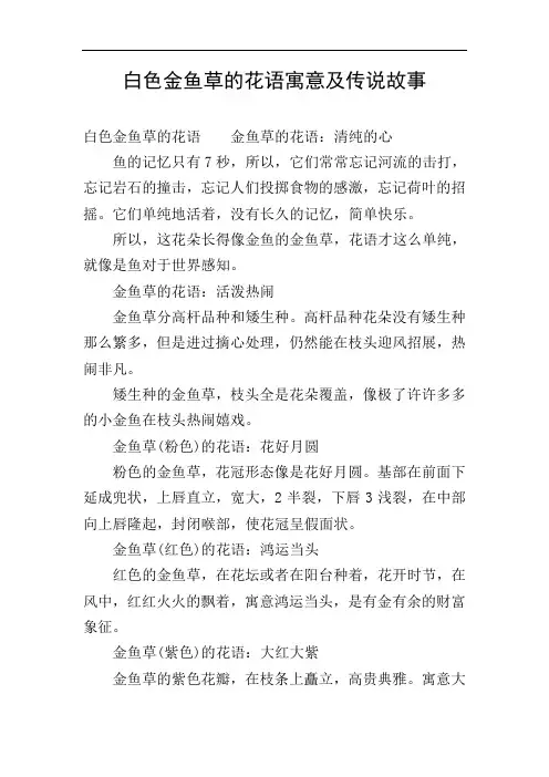 白色金鱼草的花语寓意及传说故事