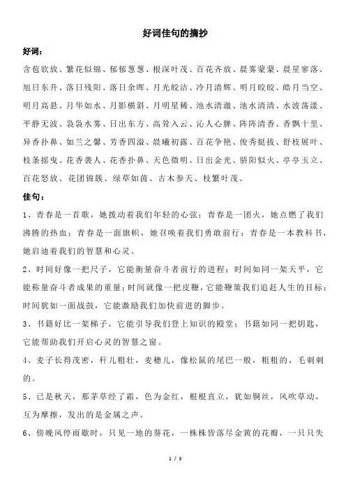 好词佳句的摘抄
