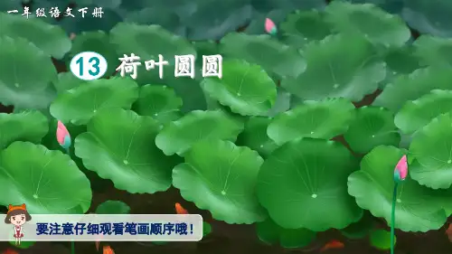 部编版小学语文一年级下册13荷叶圆圆(生字讲解)