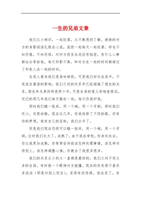 一生的兄弟文章