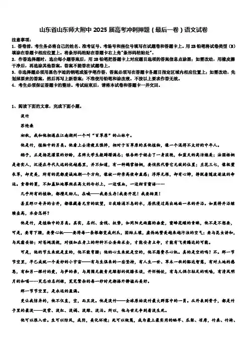 山东省山东师大附中2025届高考冲刺押题(最后一卷)语文试卷含解析